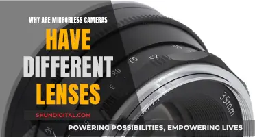 The Evolution of Mirrorless Cameras: Lenses Explained