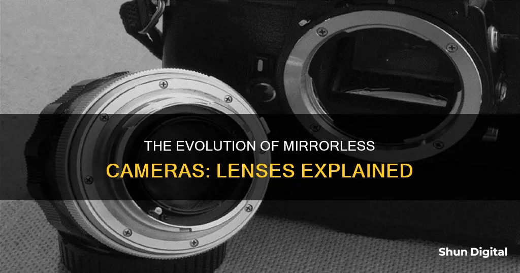 why are mirrorless cameras have different lenses