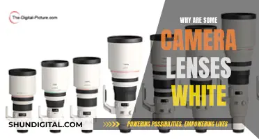 The Science Behind Camera Lenses' White Color