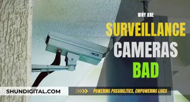 Surveillance Cameras: Invasive, Unethical, and Bad for Society