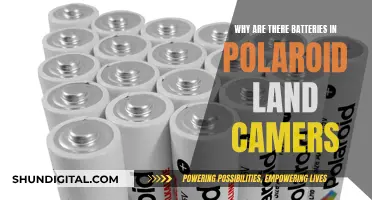 Polaroid Land Camera: Battery Power for Instant Photos