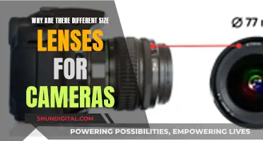 Understanding Camera Lenses: Capturing Unique Perspectives