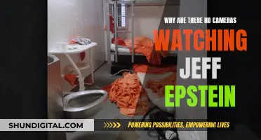 Epstein's Dark Secrets: Evading Camera Surveillance