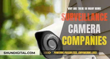 The Rise of Home Surveillance Camera Companies: Why So Many?