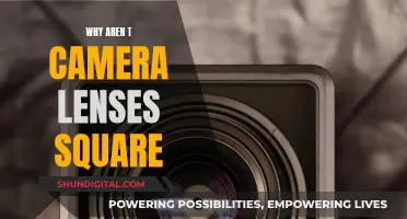 Square Camera Lenses: Impractical or Revolutionary?