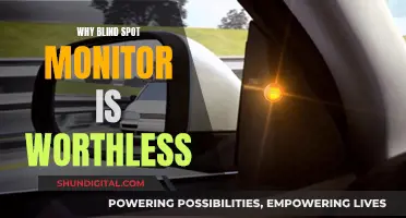 Blind Spot Monitor: A Worthless Safety Feature?