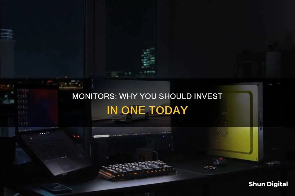 why buy a monitor