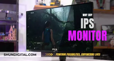 IPS Monitors: Why You Should Buy One