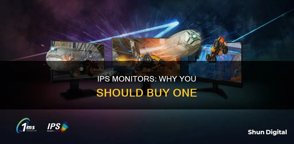 why buy ips monitor