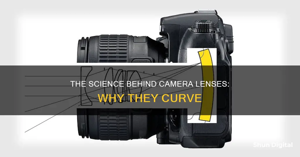 why camera lenses curve