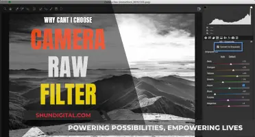 Unlocking Camera Raw Filter: What's Holding You Back?