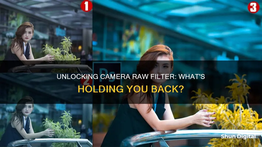 why cant I choose camera raw filter