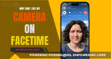 Troubleshooting Facetime: Camera Visibility Issues