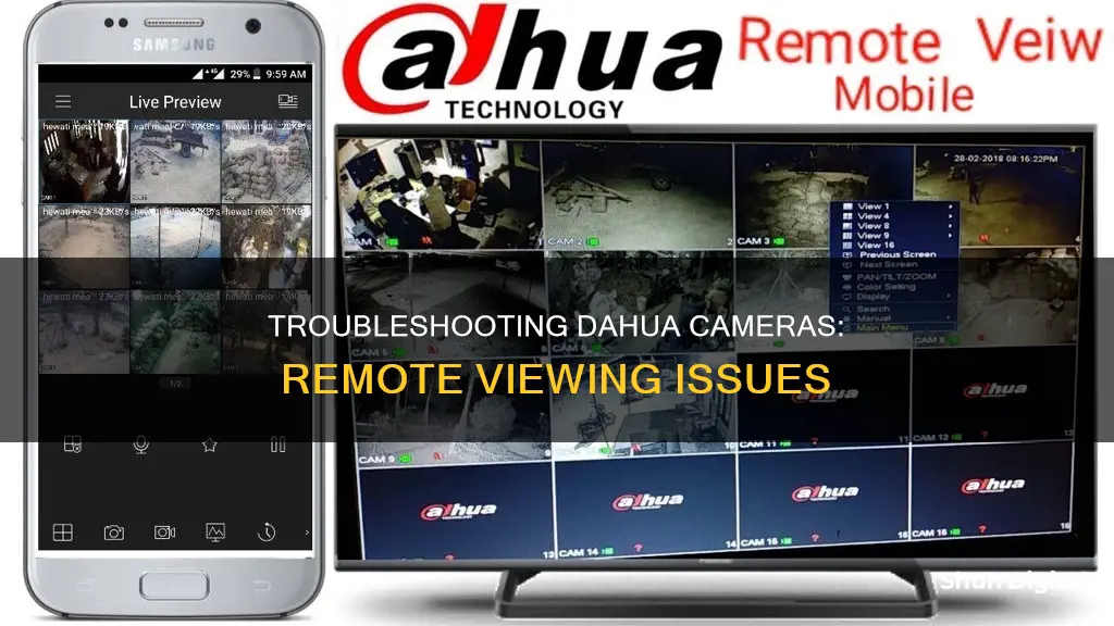 why cant I see my cameras with a dahua remotely