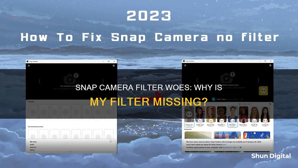 why cant I see my filter in snap camera