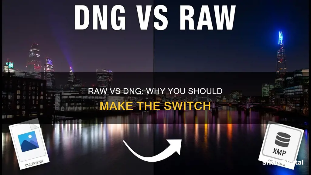 why convert camera raw to dng