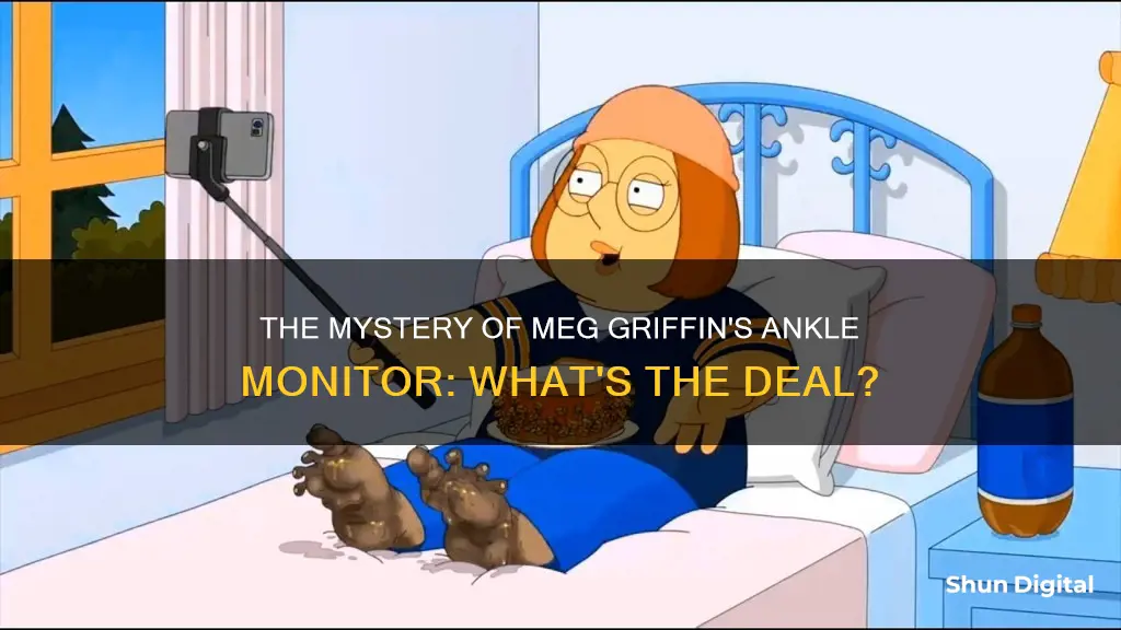 why did meg griffin have an ankle monitor