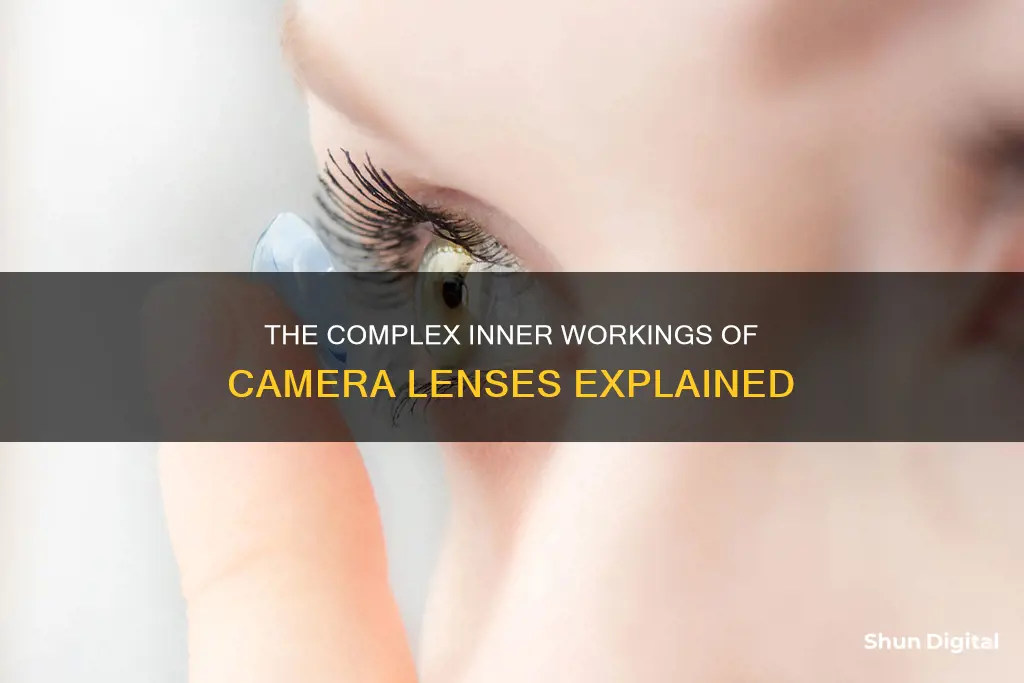 why do camera lenses have so many elements