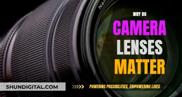 Camera Lenses: Capturing the World Differently