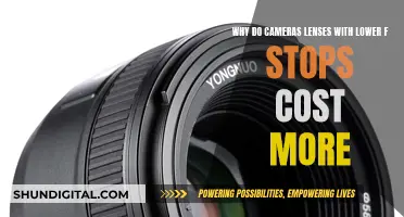 Understanding the Cost of Camera Lenses with Lower f-Stops