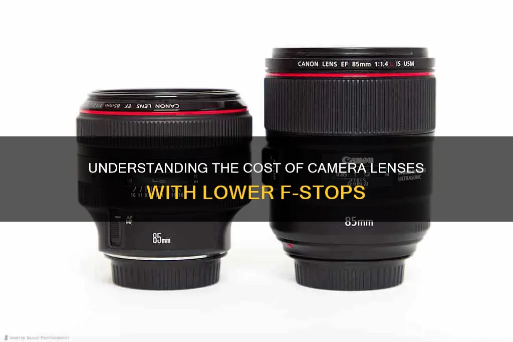 why do cameras lenses with lower f stops cost more