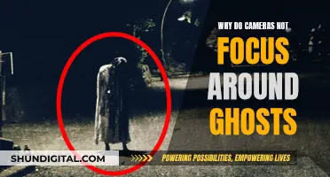 Ghosts: Elusive to Cameras, But Why?