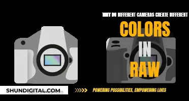 How Cameras Create Unique Colors in RAW Images