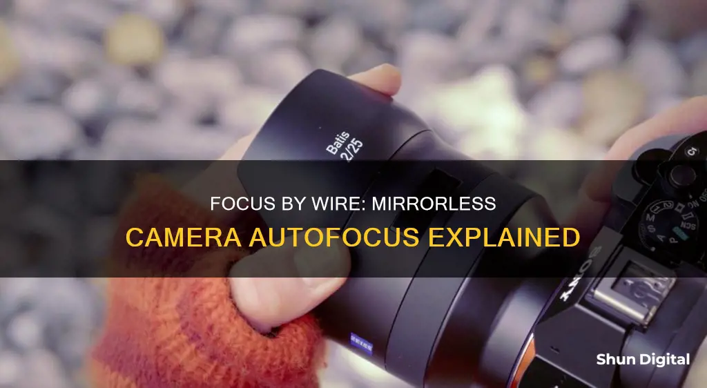 why do mirrorless cameras have focus by wire lenses