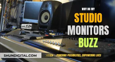 Solving Studio Monitor Buzz: Troubleshooting for Artists