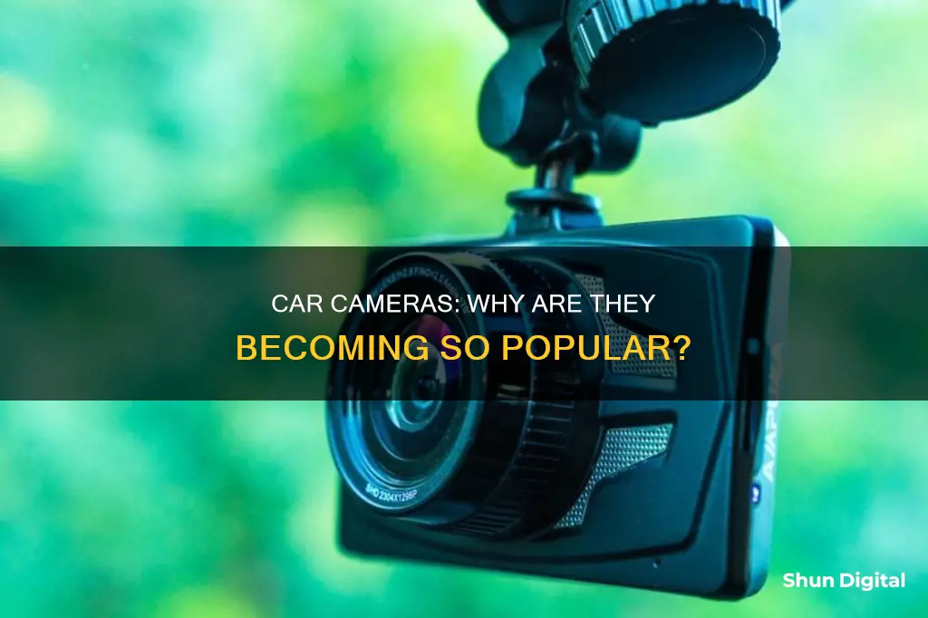 why do people have cameras in their cars