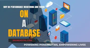 Performance Monitoring and Tuning: Optimizing Your Database's Potential