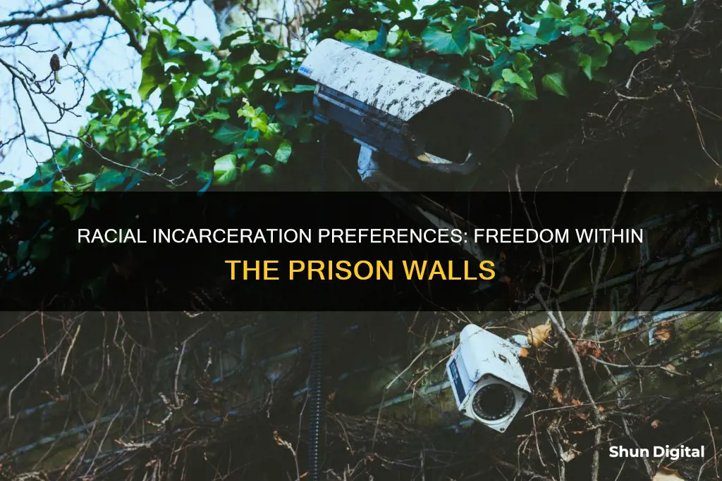 why do racial groups find incarceration better than electronic monitoring