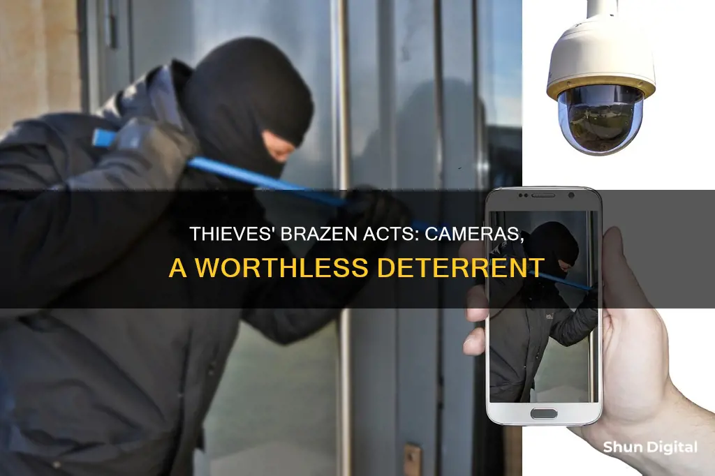 why do thieves not care about cameras