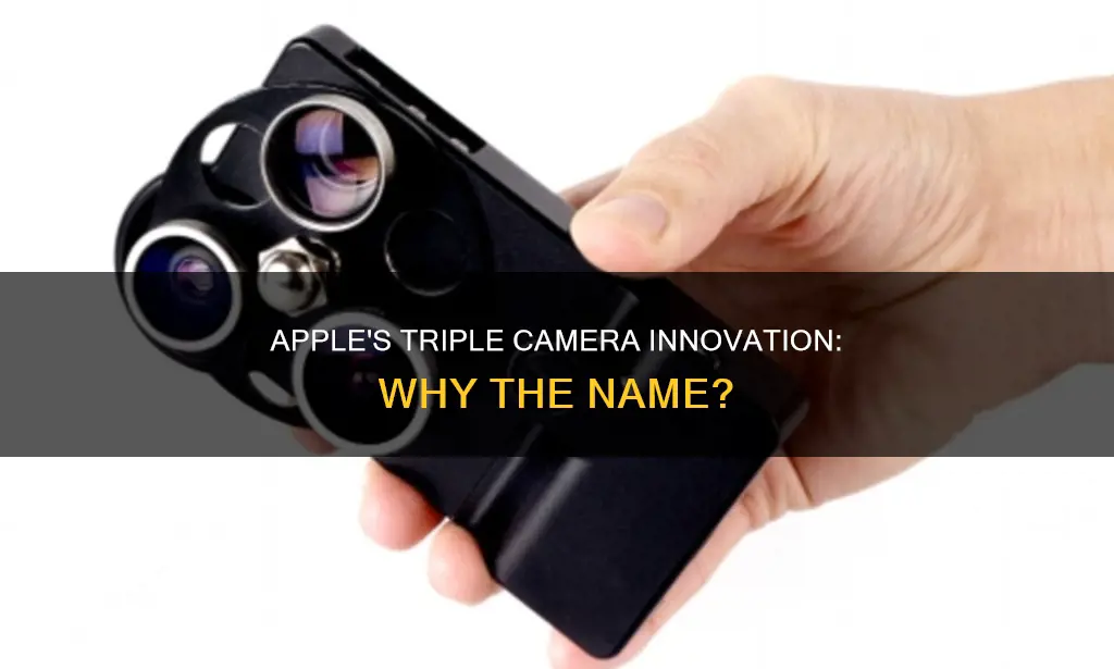 why does apple call the 3 lenses cameras