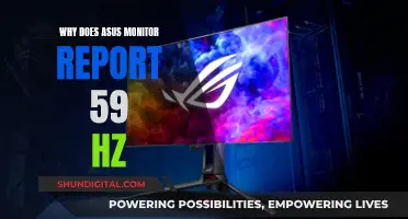 Asus Monitor Frequency Reporting 59Hz: Why?