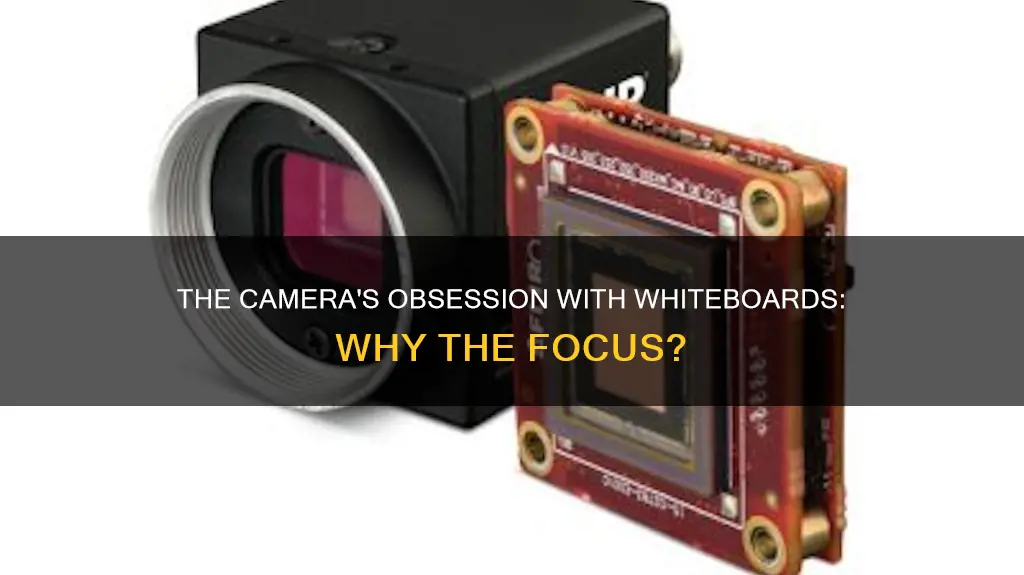 why does camera keep focusing on boards