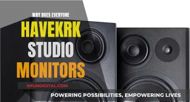 The KRK Studio Monitor Standard: Why Everyone Has Them