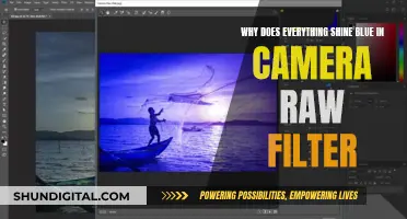 Understanding the Blue Shine in Camera Raw Filter