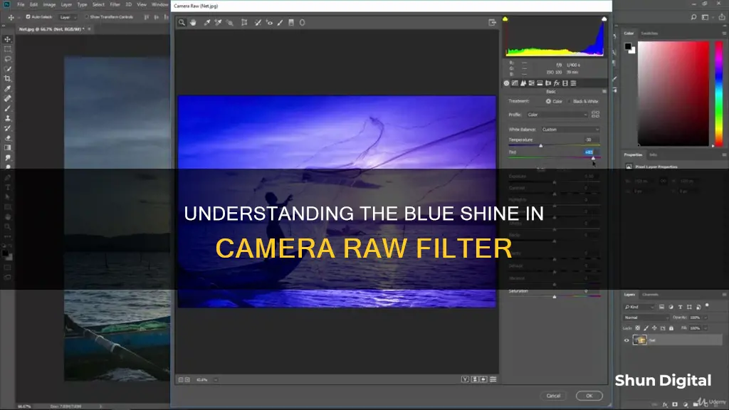 why does everything shine blue in camera raw filter