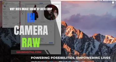 Understanding Camera Raw's Auto-Cropping Feature