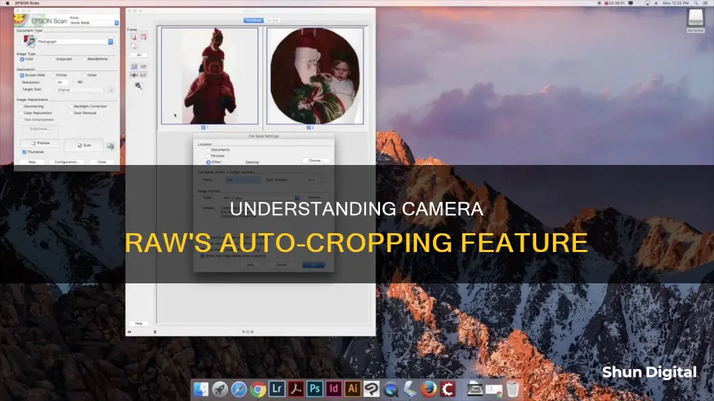 why does image show up auto crop in camera raw