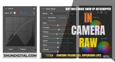 Troubleshooting Camera Raw: Autocropped Images Explained