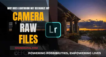 Lightroom Won't Recognize Camera Raw Files: Here's Why