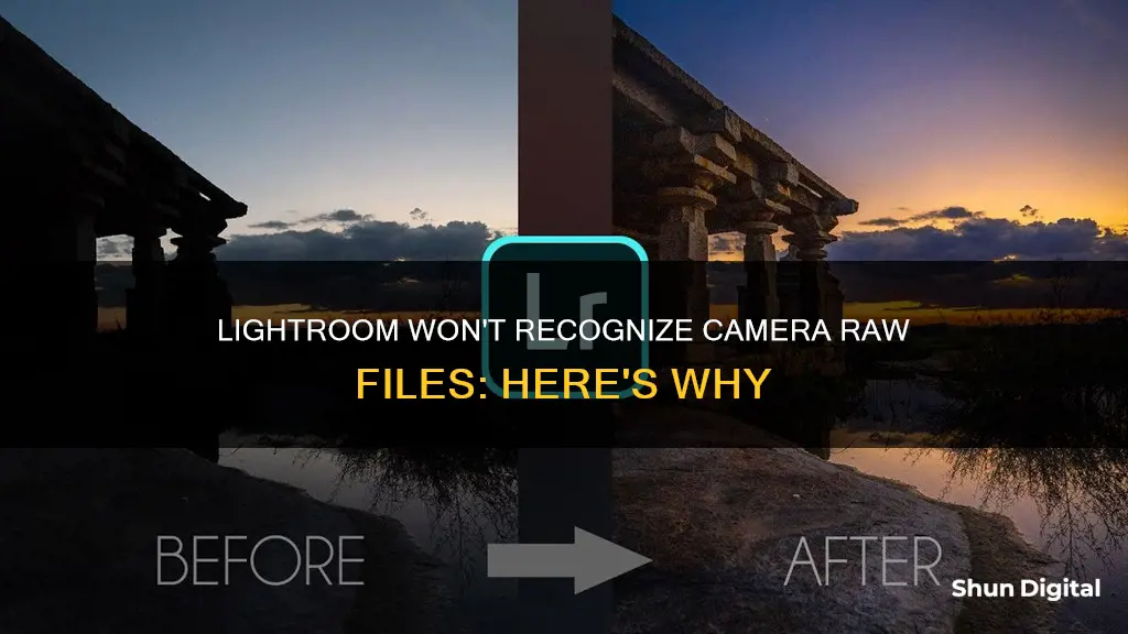 why does lightroom not recognize my camera raw files