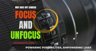 Troubleshooting Camera Focus Issues: Blurry to Clear Shots