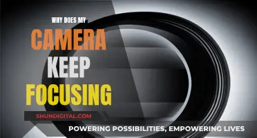 Focusing Issues: Troubleshooting Your Camera's Autofocus