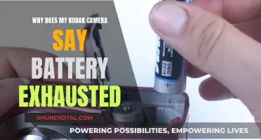 Kodak Camera Battery Exhausted: What's the Fix?