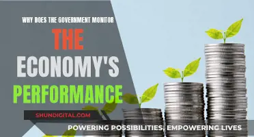 Monitoring Economy's Performance: Government's Role and Relevance