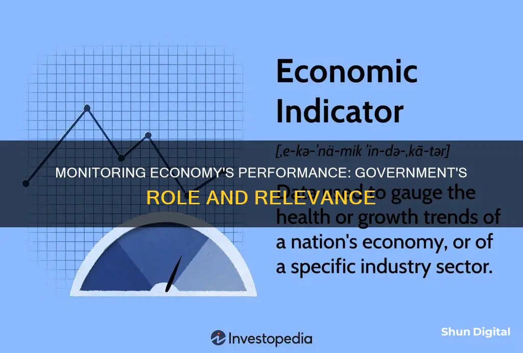 why does the government monitor the economy