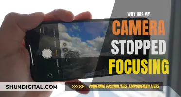 Troubleshooting Camera Focus Issues: What You Need to Know